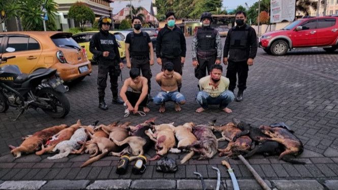 Pencuri Belasan Anjing Di Manado Kini Diringkus Polisi